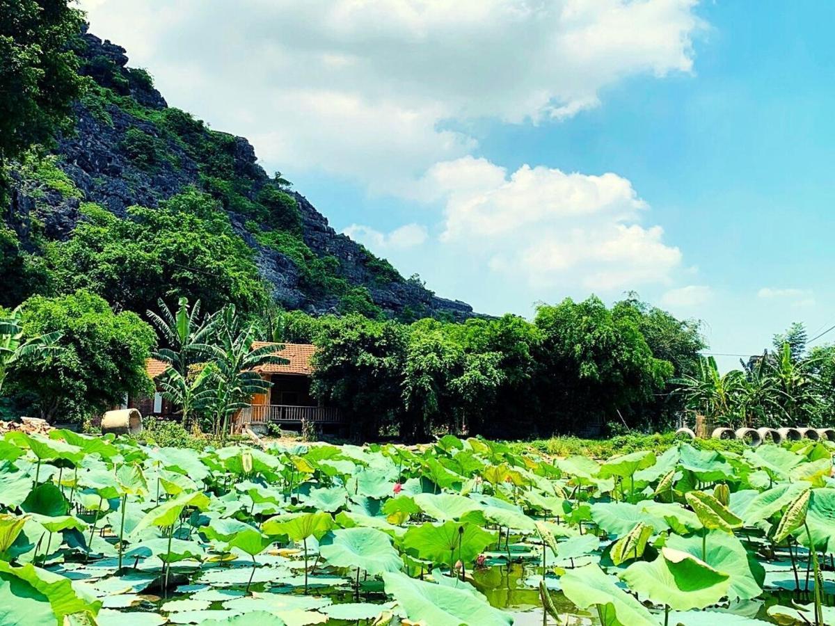 Ham Rong Homestay Ninh Binh Exterior photo