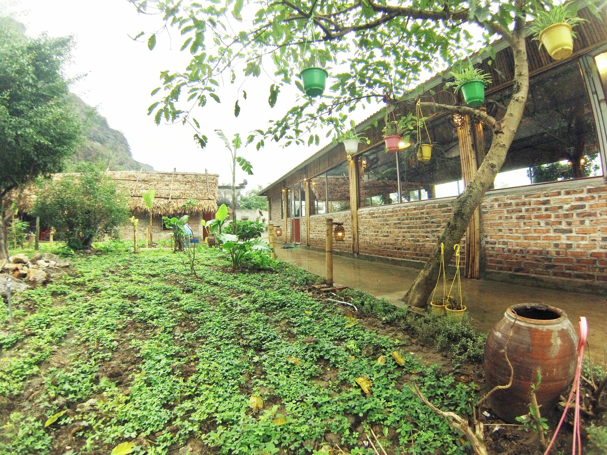 Ham Rong Homestay Ninh Binh Exterior photo